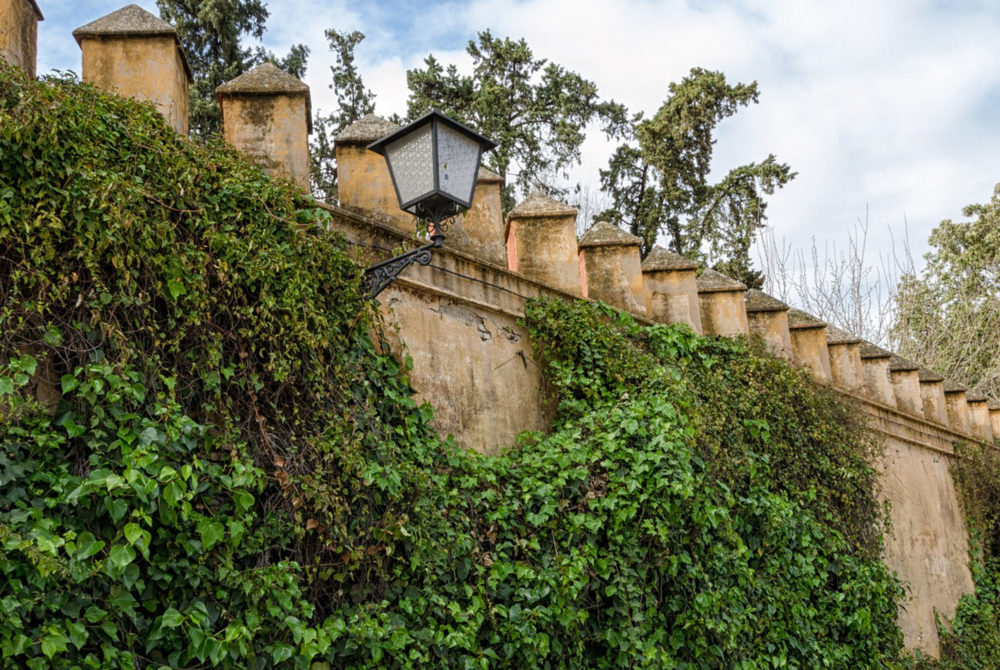 Murillo-Sevilla-1000x670 - 5 hermosos parques y jardines para recorrer en Sevilla