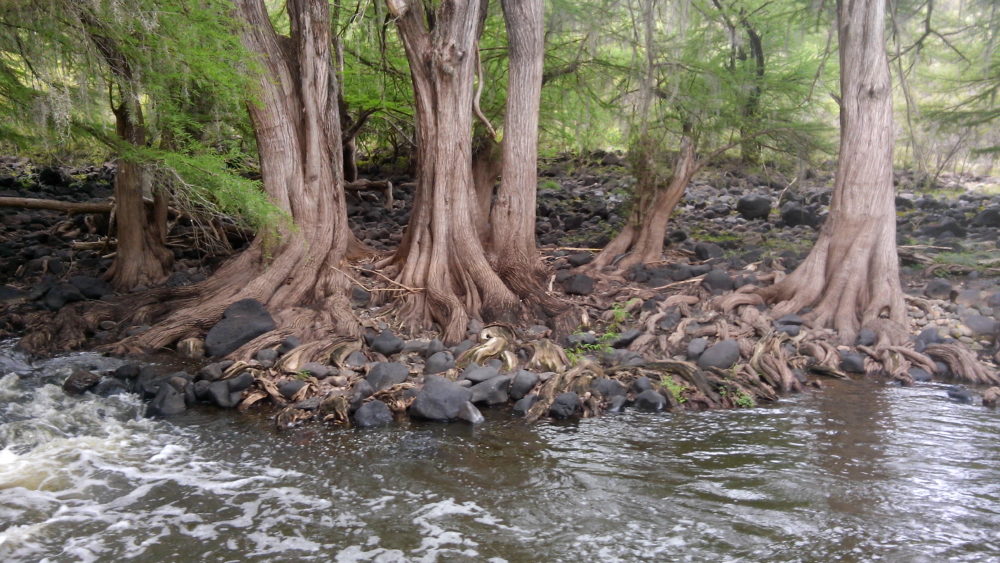 Nombre_de_Dios_Dgo._Mexico_-_panoramio_62-1000x563 - El Pueblo Mágico declarado patrimonio mundial por la UNESCO con templos, bellos paisajes y una increíble gastronomía