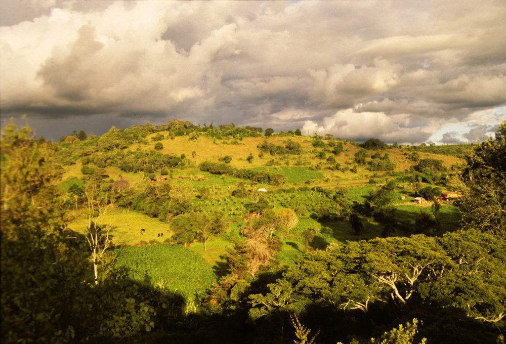 Nyeri-Kenia-1000x680 - Recorre 15 de los pueblos cafeteros más auténticos del mundo