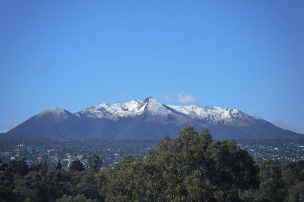El pulmón natural de la Ciudad de México que es imperdible para los foodies y amantes del vino