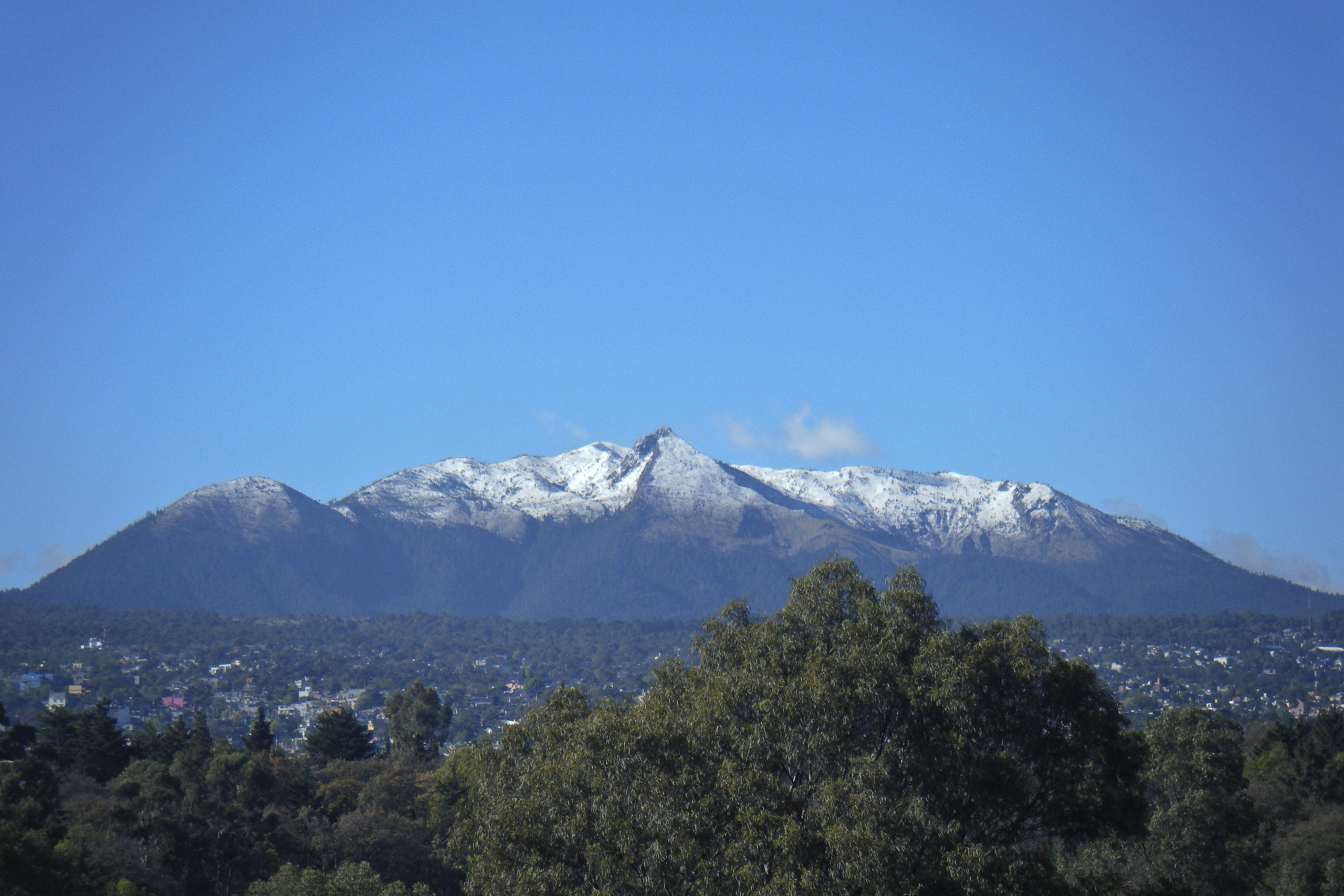 El pulmón natural de la Ciudad de México que es imperdible para los foodies y amantes del vino