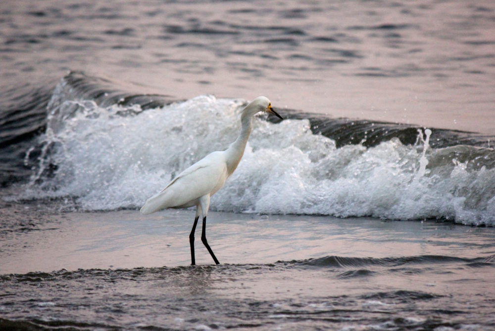Parque-Tayrona-Santa-Marta-1000x670 - Vacaciones en familia: la ciudad ideal de Colombia para ir con niños