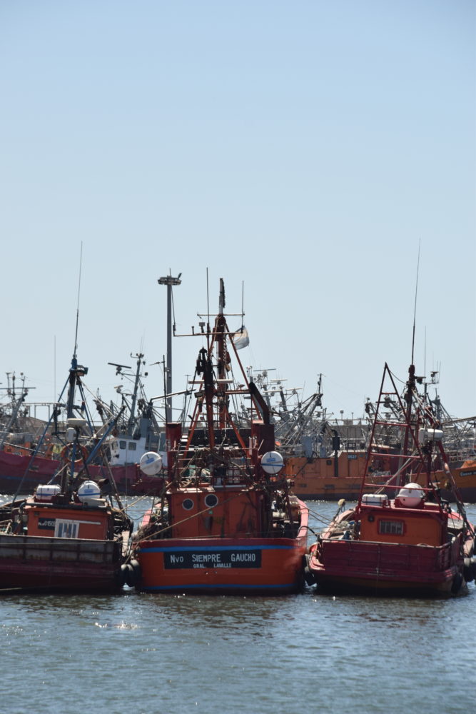 Puerto-de-Mar-del-Plata3-667x1000 - Mar del Plata, ciudad de tradiciones y nuevos sabores