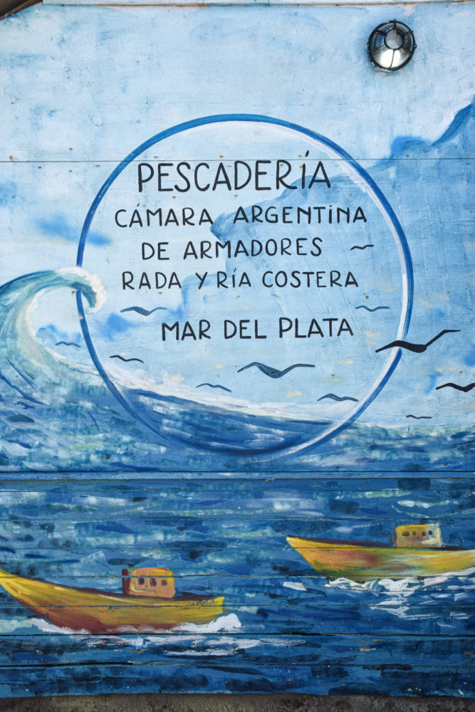 Puerto-de-Mar-del-Plata9-667x1000 - Mar del Plata, ciudad de tradiciones y nuevos sabores