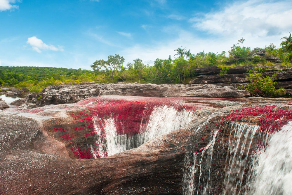 Sector-Rio-Cano-Cristales-1000x670 - Es uno de los ríos más hermosos del mundo, está en Colombia y debes visitarlo una vez en la vida