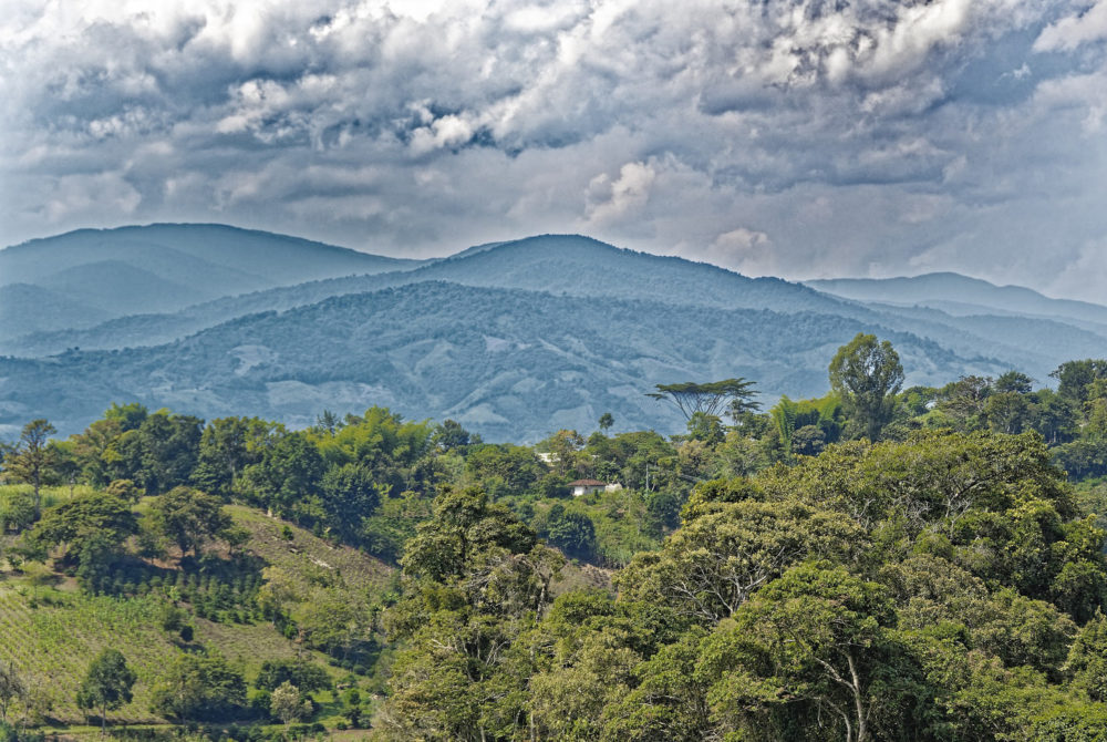 Selva-San-Agustin-1000x670 - Top 3 destinos baratos de Colombia para hacer una escapada