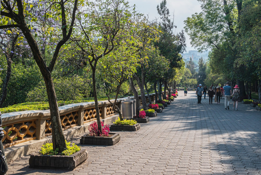 Sendero-Jardin-Botanico-CDMX-1000x670 - San Valentín 2024 en CDMX: qué hacer y cómo celebrar en pareja