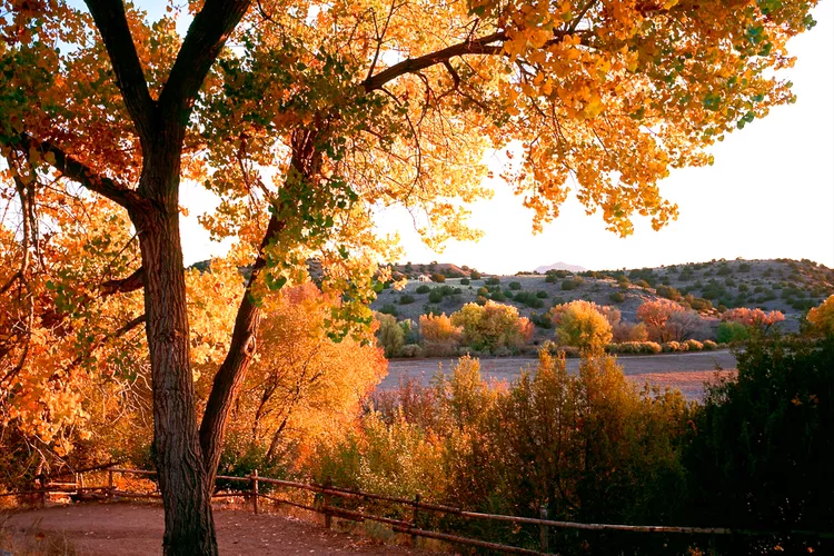 TAL-el-rancho-de-las-golondrinas-PLACESNM1123-cb113f7c4c5d43c383b507551673d790 - 18 mejores lugares para visitar en Nuevo México, según los locales