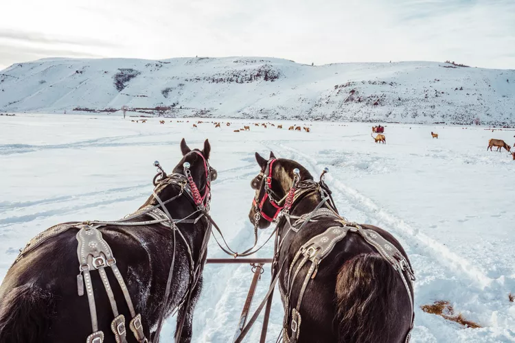 TAL-jackson-hole-WINTERGIRLSTRIP0124-dbef035da1ca43ef8eb5bcc55ea171d3 - 12 viajes acogedores para chicas que puedes realizar este invierno