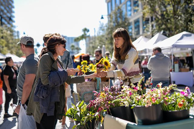 TAL-the-market-at-water-street-tampa-WATERST1223-19ecdc7d8107492da3aa5ceb1614079f - He vivido en todo el mundo, pero nunca me he sentido más orgulloso de vivir en esta ciudad de Florida, gracias a un nuevo e increíble vecindario