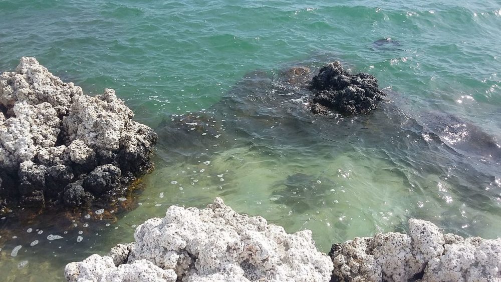 achichica_wikimedia_Abraham-Zakik-1000x563 - La preciosa "playa" secreta en Puebla que casi nadie conoce y tiene hermosos paisajes