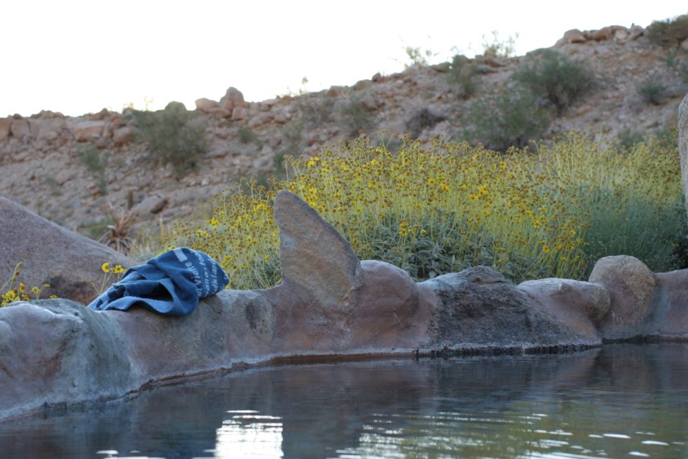 canondeguadalupe1-Flickr-AlessandroValli-1000x667 - El increíble oasis de aguas termales naturales que usaban los pueblos indígenas a 1 hora de Mexicali