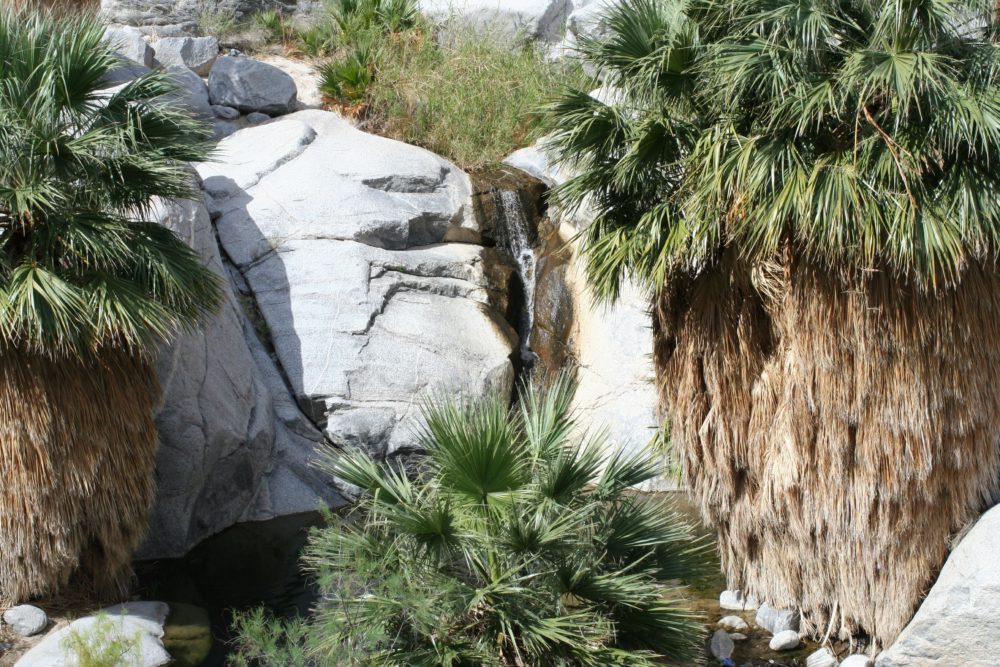 canondeguadalupe2-Flickr-AlessandroValli-1000x667 - El increíble oasis de aguas termales naturales que usaban los pueblos indígenas a 1 hora de Mexicali