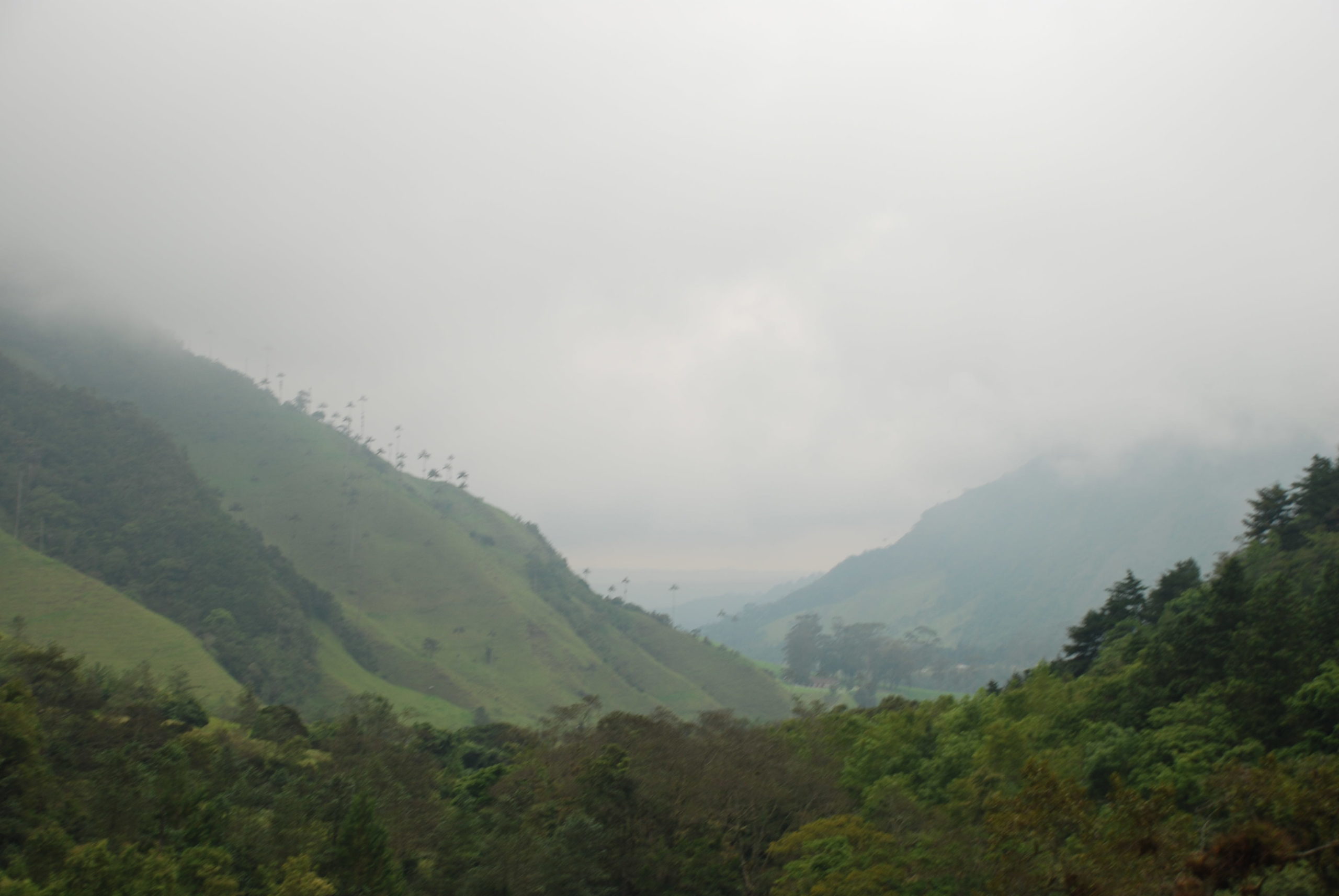Recorre 15 de los pueblos cafeteros más auténticos del mundo