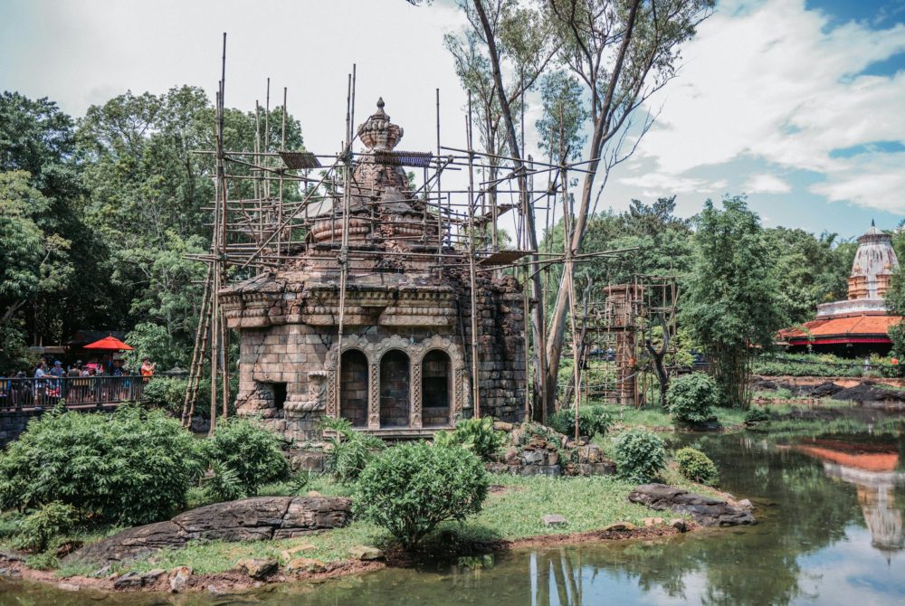 disney-animalkingdom-pexels-atracciones-vacaciones-1000x670 - Vacaciones en Disney: 5 atracciones populares de Animal Kingdom