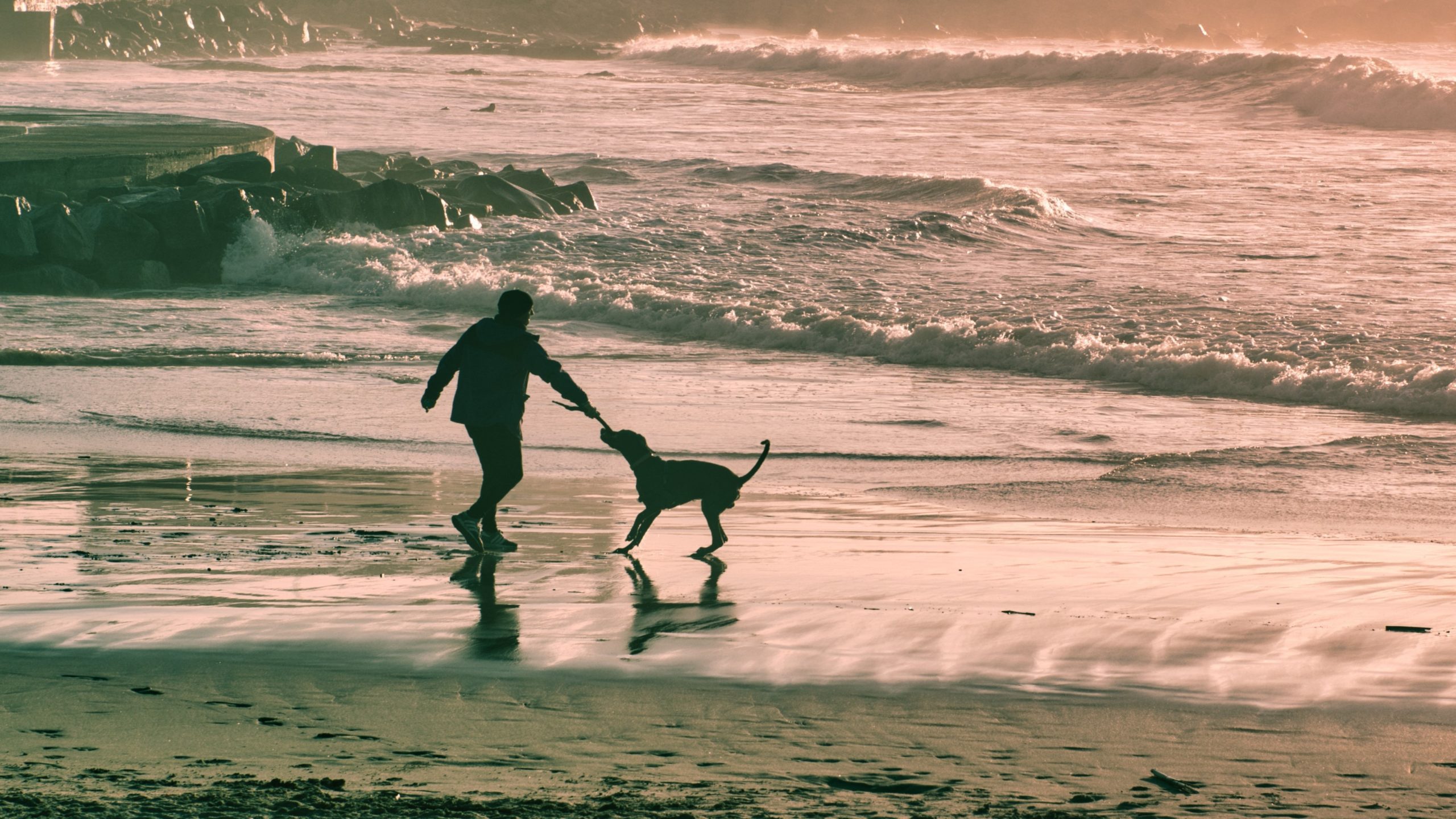 La ciudad cercana a Málaga que es el mejor destino de España para viajar con tu mascota