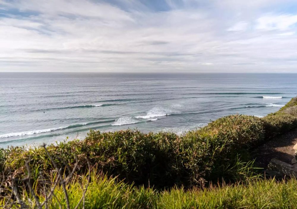 jardin-pacifico-california-1000x703 - Este impresionante jardín, con vistas al océano, acaba de ser nombrado uno de los lugares más pacíficos de EE.UU.