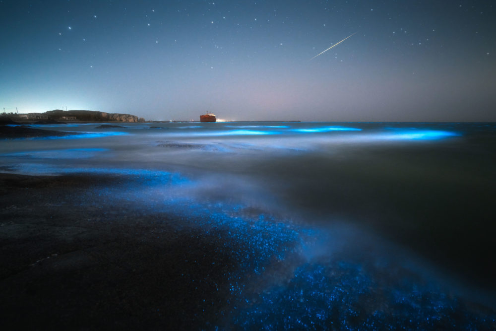 noche-iluminada-con-bioluminiscencia-1000x667 - Bahías bioluminiscentes en Puerto Rico, un espectáculo único