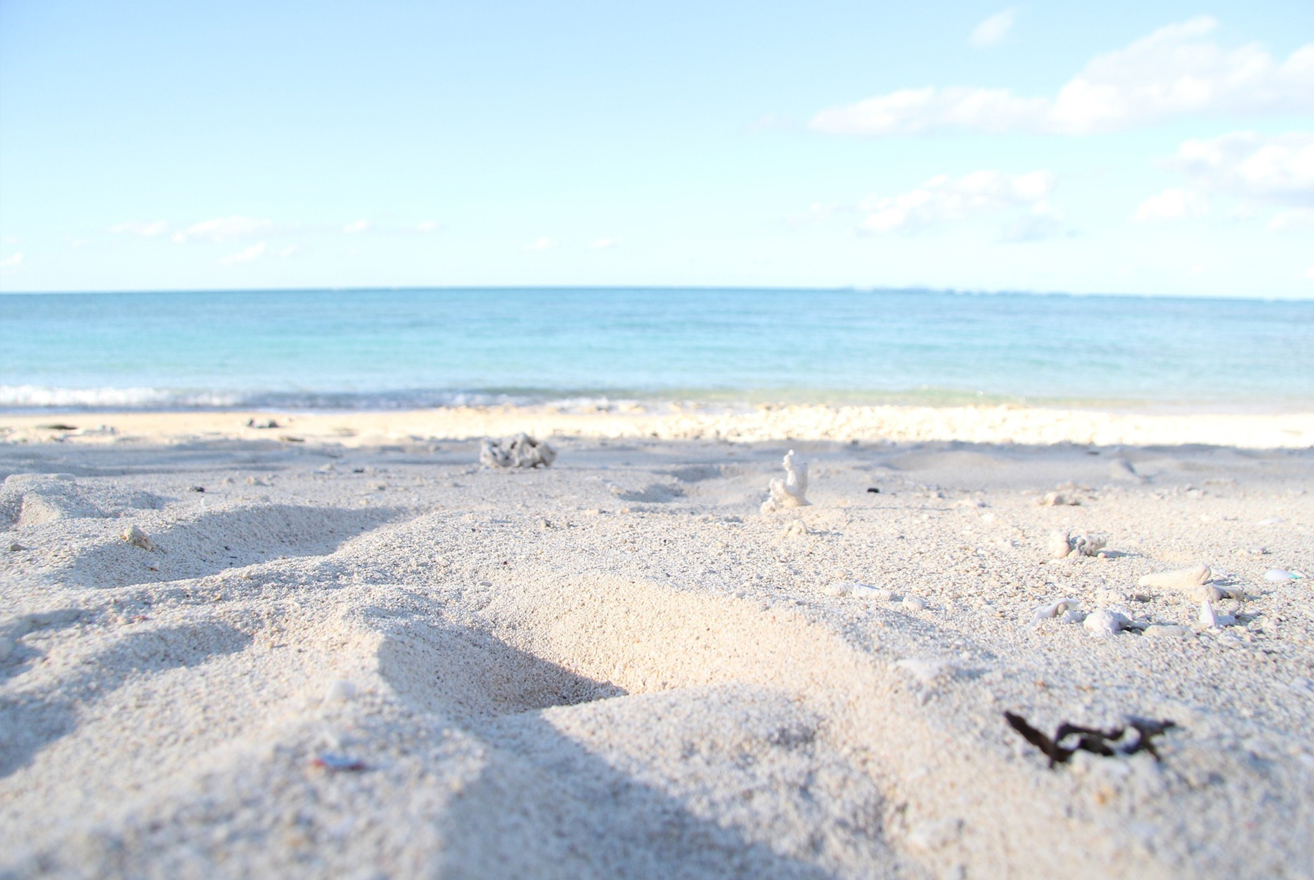 La hermosa playa virgen que está escondida en Quintana Roo La hermosa playa virgen que está escondida en Quintana Roo