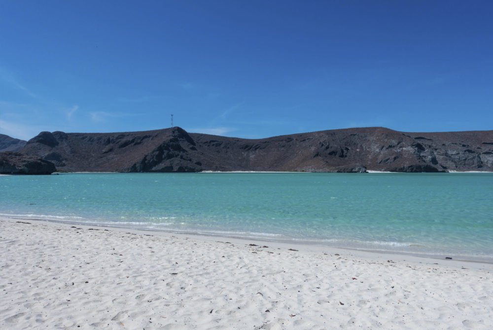 Balandra2--1000x670 - La playa virgen de Baja California Sur que casi nadie conoce y tiene aguas azul turquesa