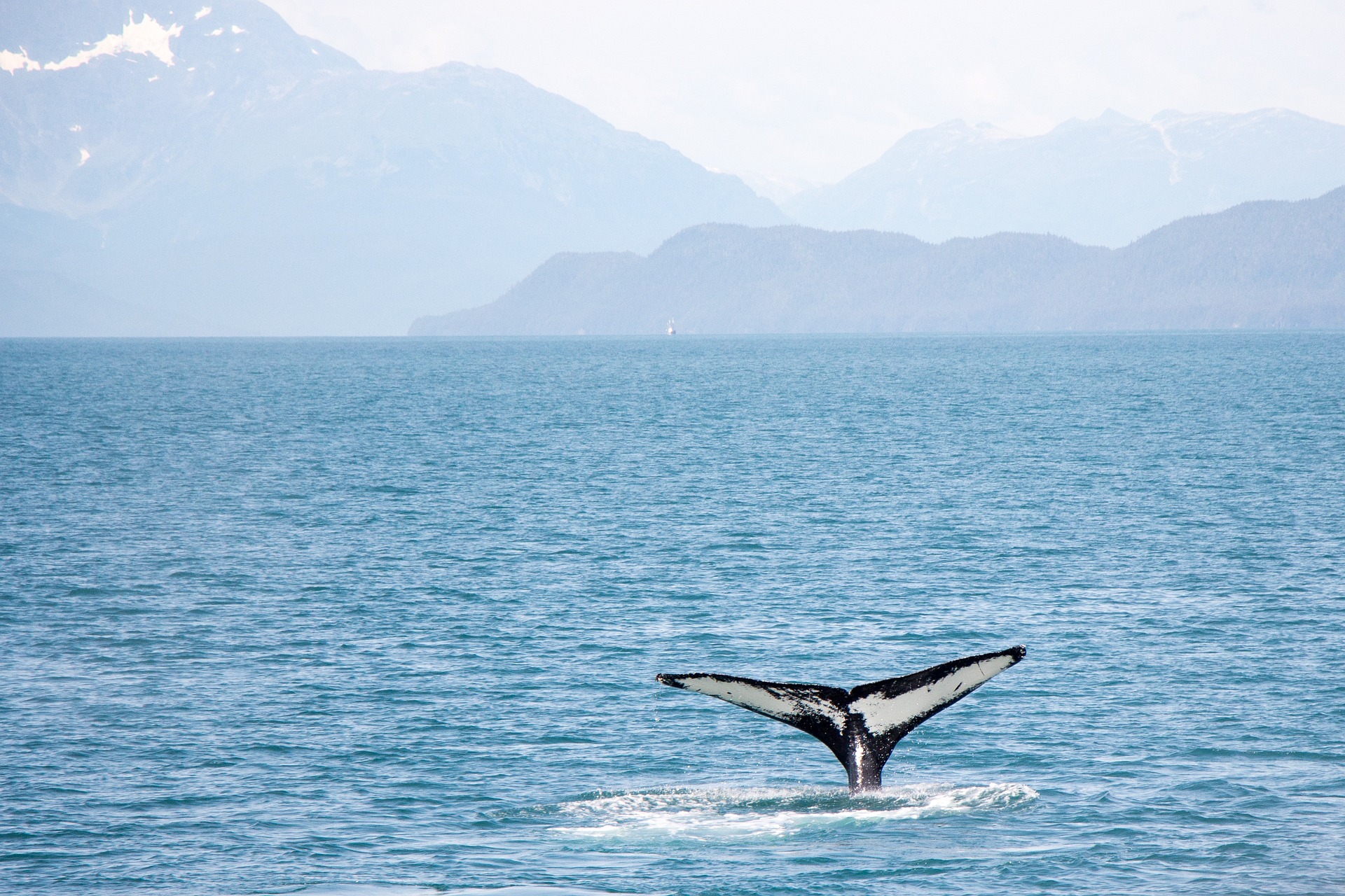 El hermoso pueblito de Chubut en el que podrás ver ballenas de cerca, playas alucinantes y fue declarado Patrimonio de la Humanidad