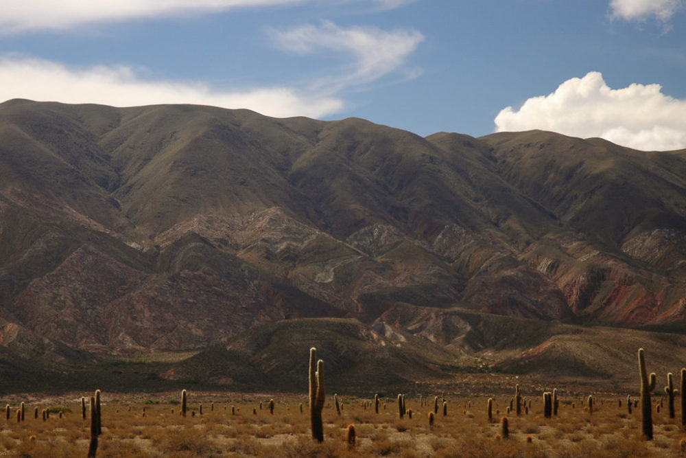 Cachi-TomaB-en-Flickr-1000x667 - El hermoso pueblo del norte argentino con casitas blancas, exquisitos vinos y las empanadas más ricas