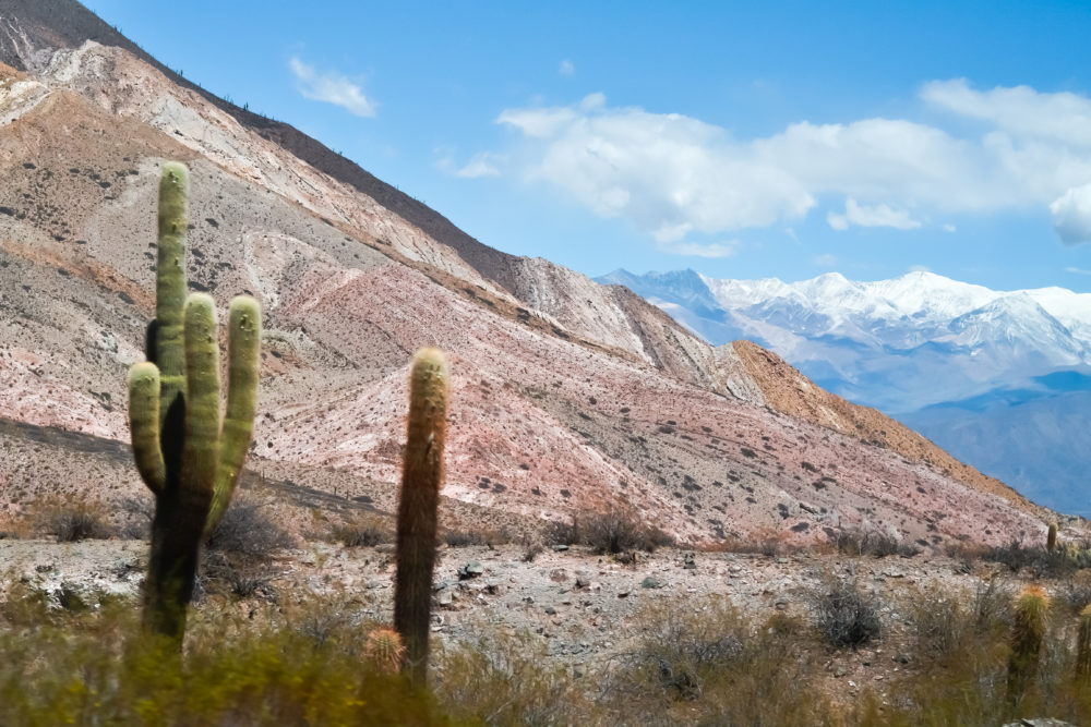 El hermoso pueblo del norte argentino con casitas blancas, exquisitos vinos y las empanadas más ricas