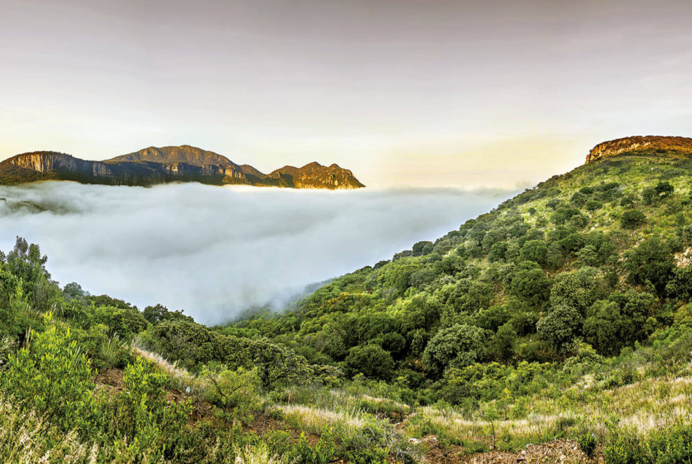 Este Pueblo Mágico tiene hermosas cascadas y resguarda una maravilla arquitectónica que debes conocer