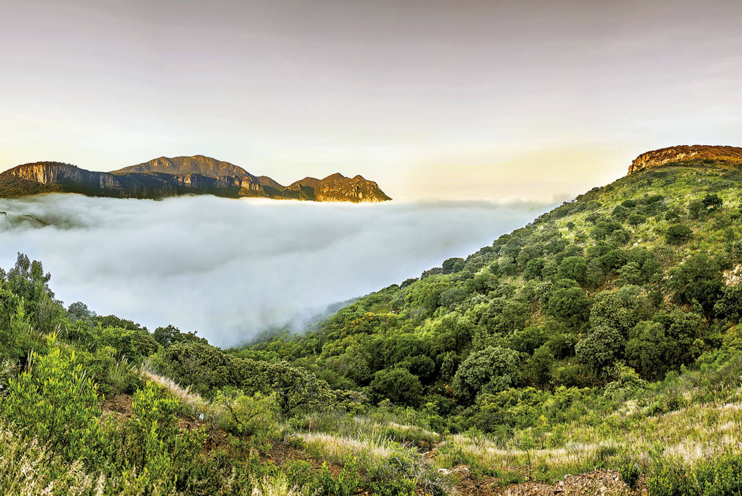 Este Pueblo Mágico tiene hermosas cascadas y resguarda una maravilla arquitectónica que debes conocer