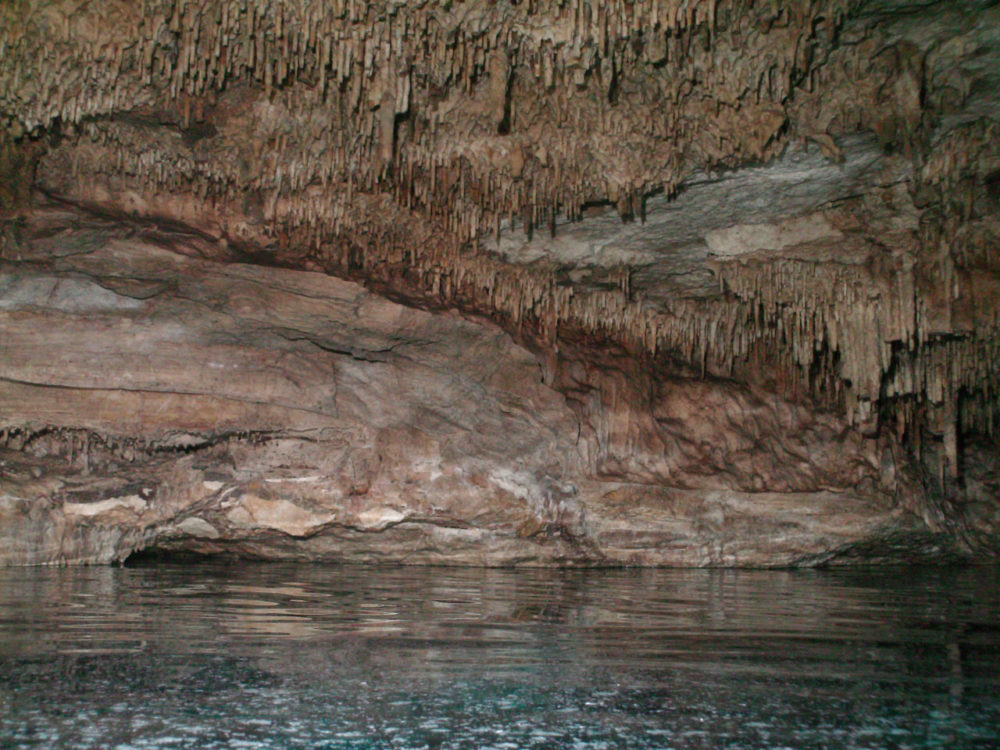 Cenote-Serge-Melki-Wikimediacommons-1000x750 - Cómo llegar al espectacular cenote a 30 minutos de Tulum que sorprende con sus hermosas aguas celestes