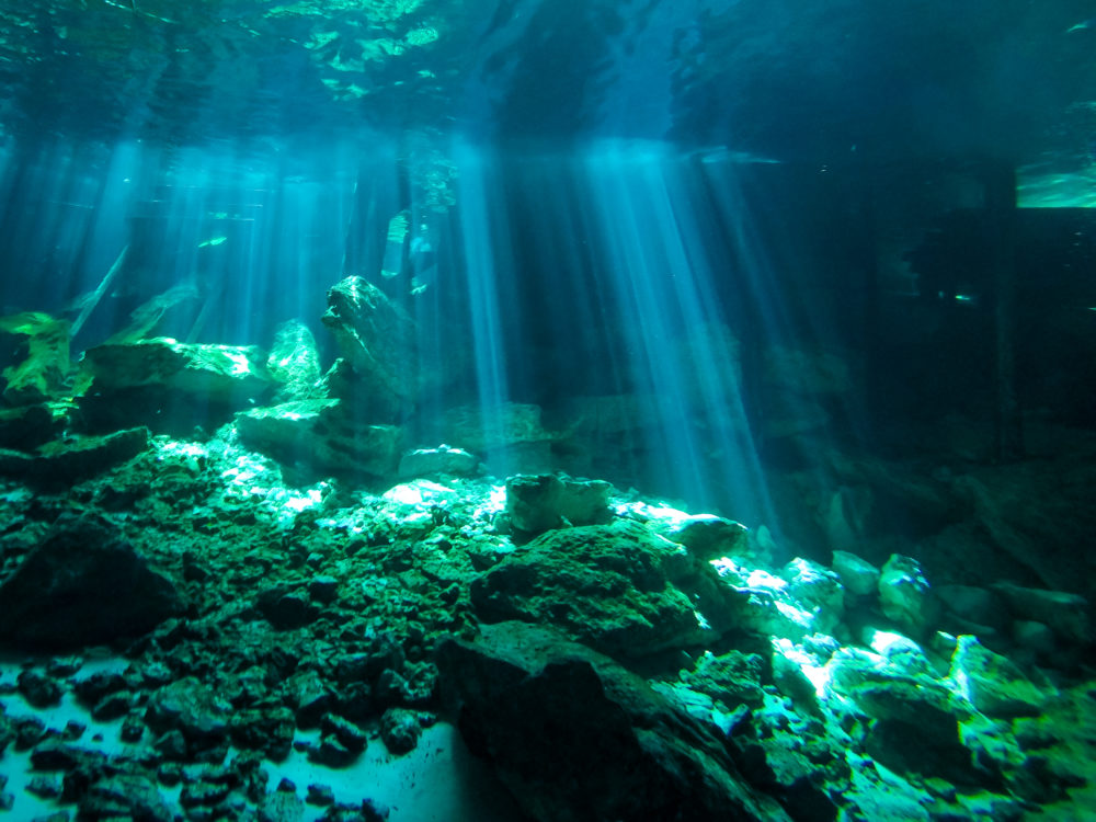 Cómo llegar al espectacular cenote a 30 minutos de Tulum que sorprende con sus hermosas aguas celestes