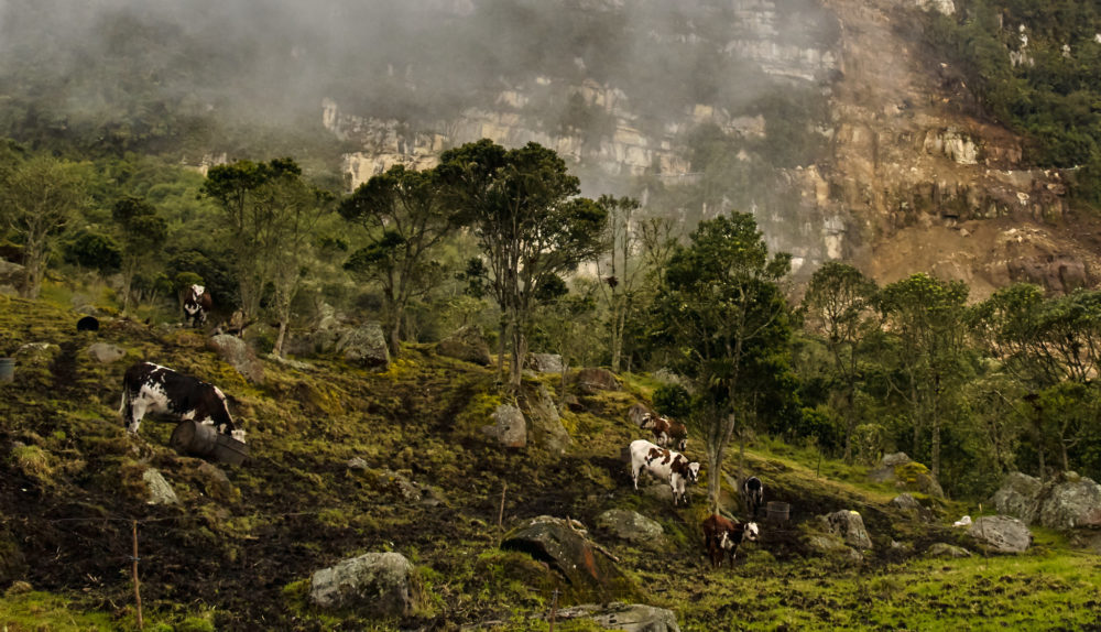 Choachi2-Pedro-Szekely-en-Flickr-1000x574 - Este pueblito fue elegido como uno de los más hermosos del mundo por la Organización Mundial del Turismo, está a 2 horas de Bogotá y tiene una cascada de ensueño