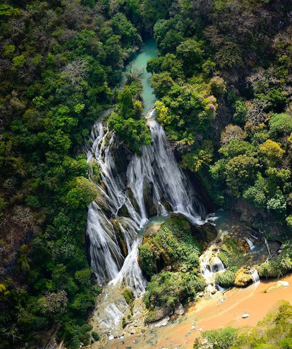 DnTmJBRU4AAXEq- - La preciosa selva de Chiapas con una sorprendente cascada que es perfecta para hacer ecoturismo