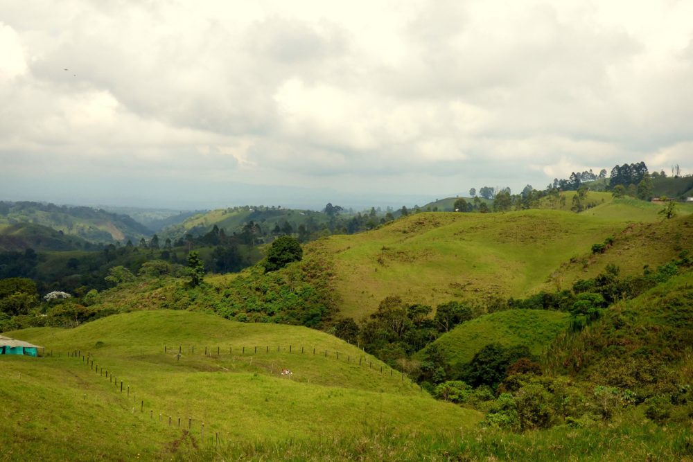 Filandia2-Wikimediacommons-Alejandro-Bayer-Tamayo-1000x667 - El colorido pueblito colombiano que fue reconocido como uno de los mejores destinos rurales para visitar por la Organización Mundial del Turismo