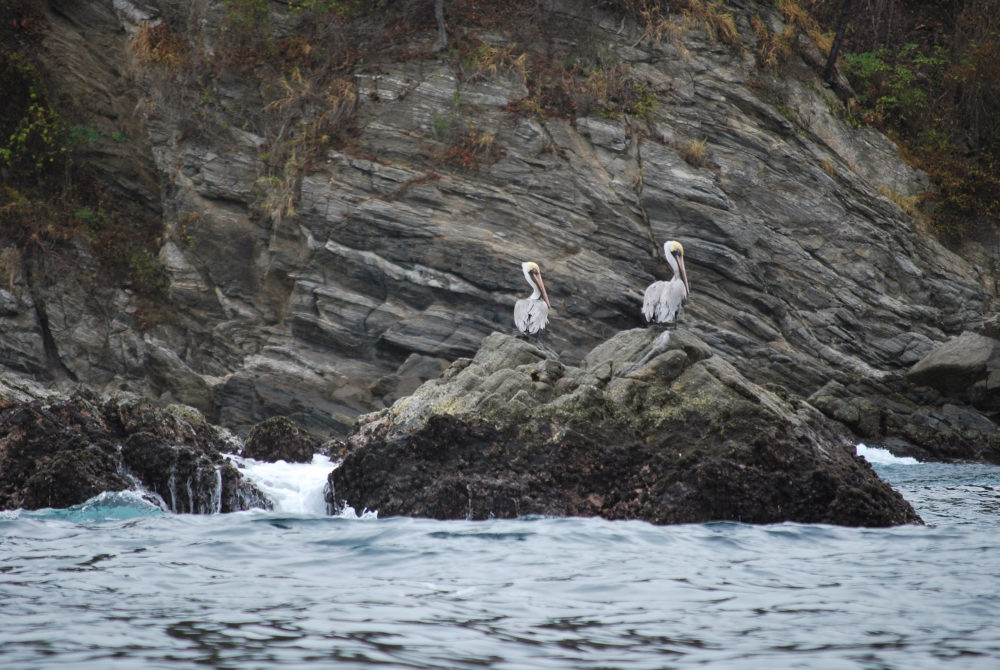 Garzas-La-Boquilla-1000x670 - La diminuta playa en Oaxaca que casi nadie conoce y es ideal para desconectarse del mundo