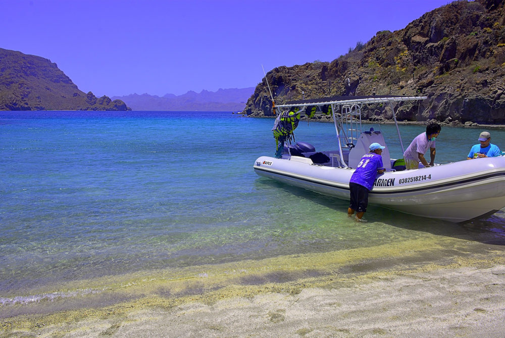 Isla-Danzante-1000x670 - La pequeña isla con una romántica playa que es ideal para llevar a tu amor en San Valentín 2024
