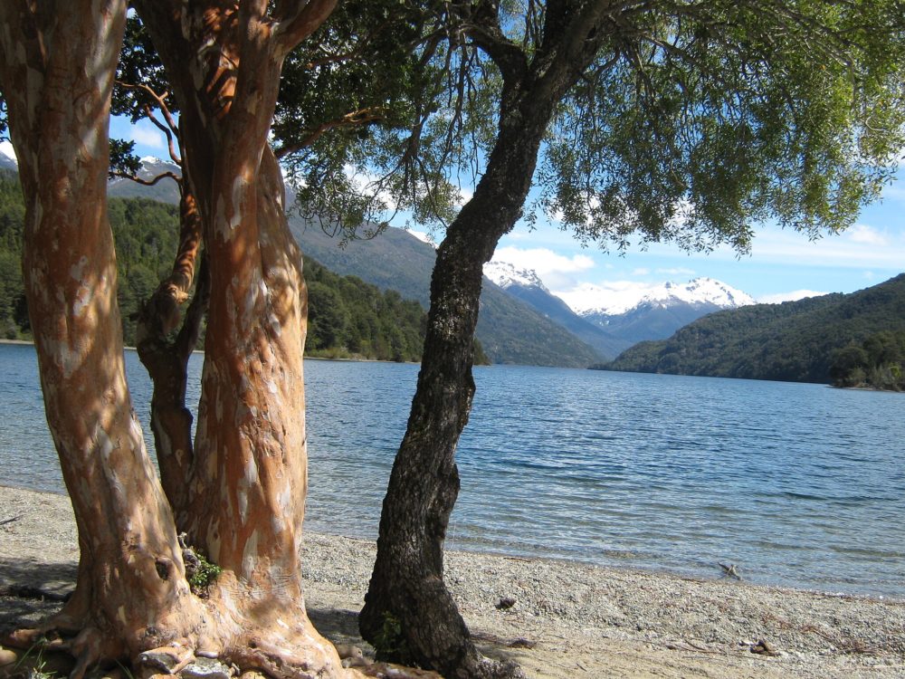LagoSteffen-Wikimediacommons-BeatrizNunez-1000x750 - El lago escondido cerca de Bariloche con preciosas aguas cristalinas y cálidas
