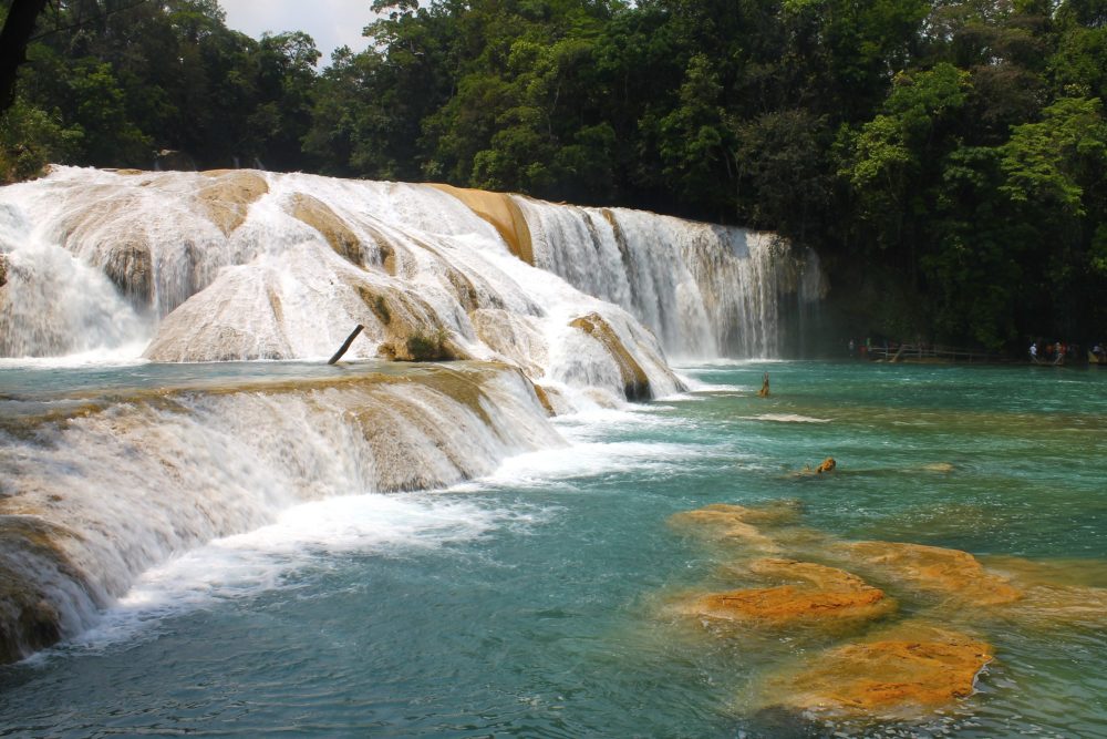Las_preciosas_cascadas_de_Agua_Azul_Chiapas._02-1000x667 - Las paradisíacas cascadas de Chiapas que son perfectas para una escapada de ecoturismo
