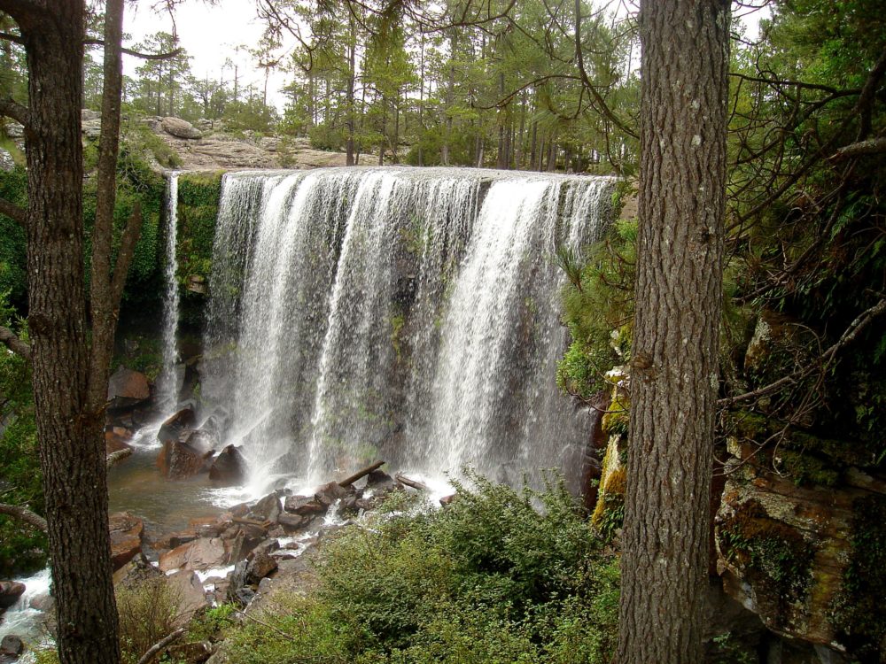 El paradisíaco parque de Durango que tiene hermosos bosques y cascadas y es ideal para hacer ecoturismo