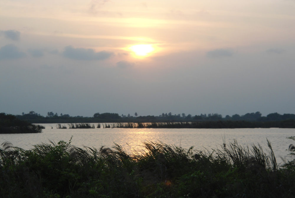 Pantanos-de-Centla-1000x670 - Es uno de los humedales más importantes del mundo, está a 2 horas de Villahermosa y debes conocerlo sí o sí