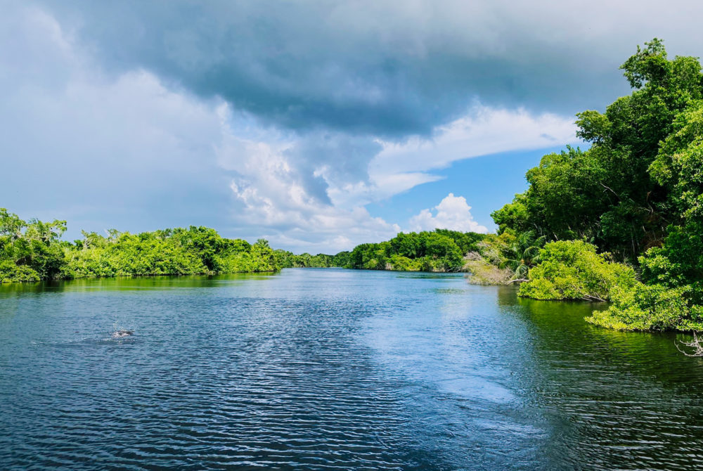 Es uno de los humedales más importantes del mundo, está a 2 horas de Villahermosa y debes conocerlo sí o sí