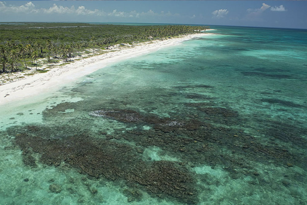 Playa-Punta-Pajaros-1000x670 - La playa de Quintana Roo que casi nadie conoce a la que solo se accede por barco