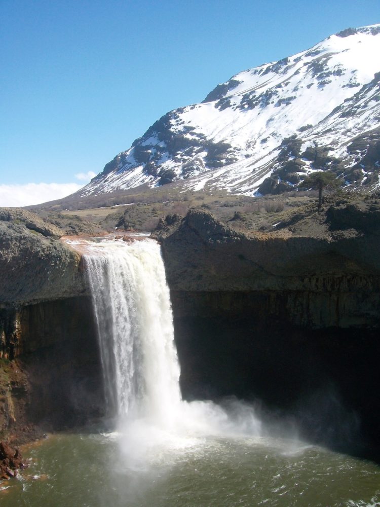 SaltodelAgrio-Wikimediacommons-Claudio-Elias-750x1000 - La impactante cascada en el sur de Argentina que pocos conocen y es preciosa para visitar