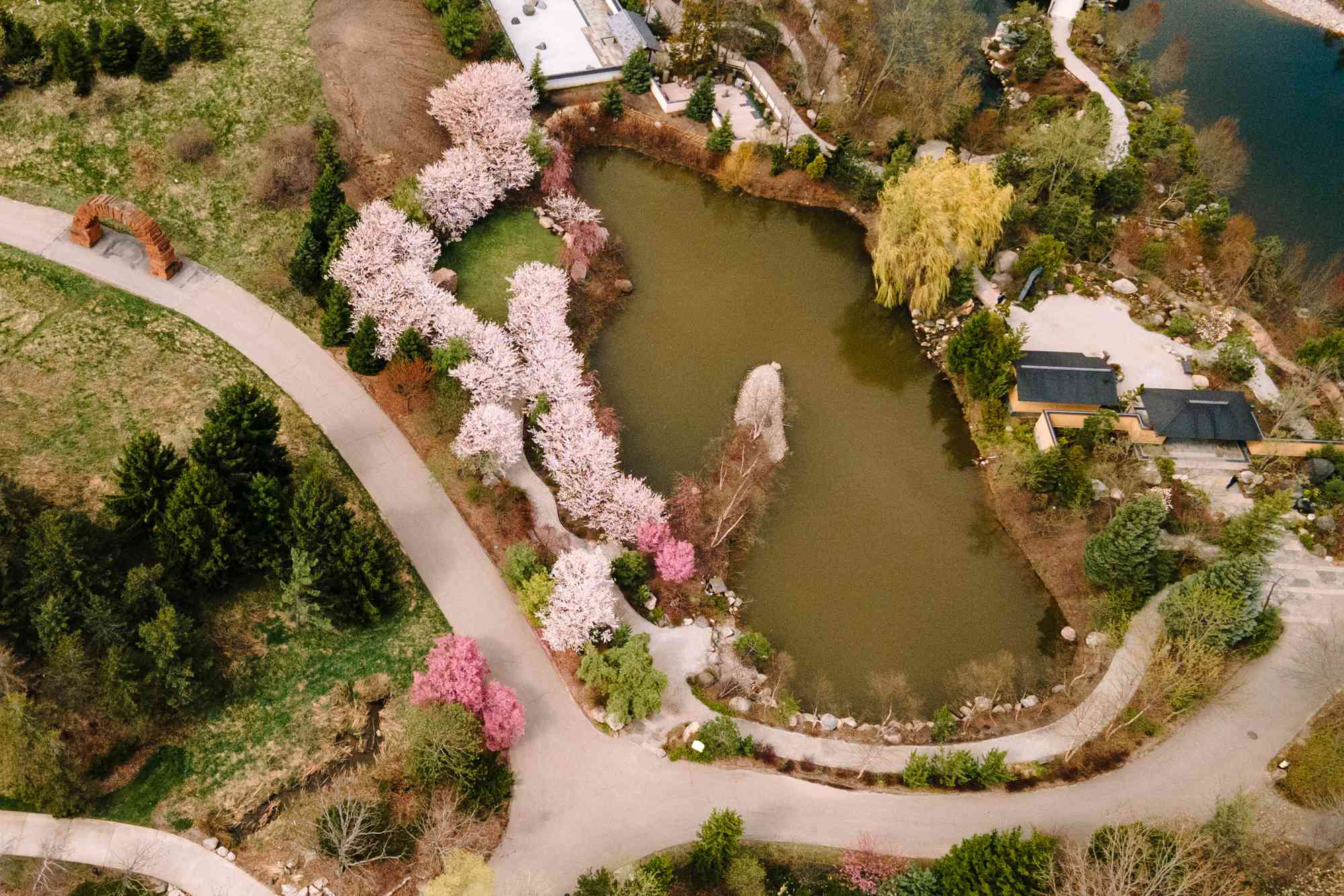 Este jardín botánico japonés de 8 acres tiene una de las mejores exhibiciones de cerezos en flor en los EEUU