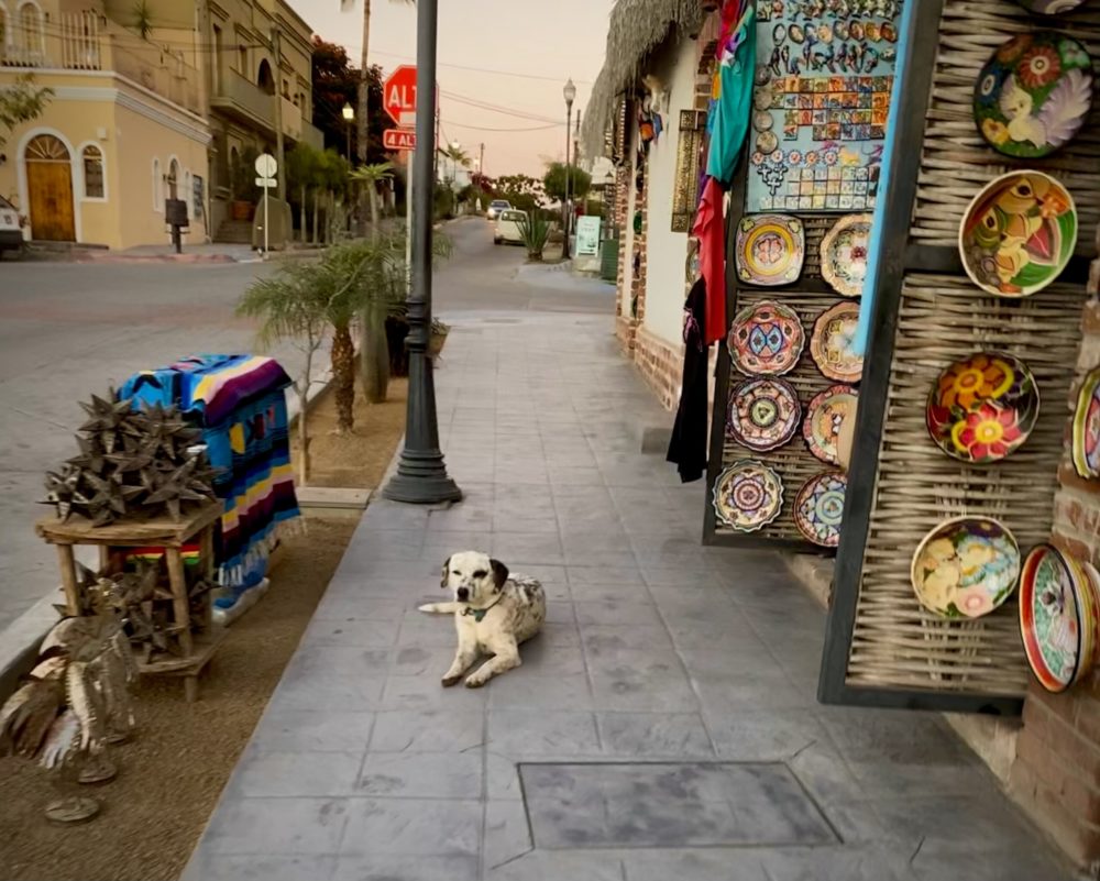 Todos_Santos_50924675597-1000x801 - El impactante Pueblo Mágico a 1 hora de La Paz con coloridos edificios coloniales, rica comida y que habría inspirado una famosa canción