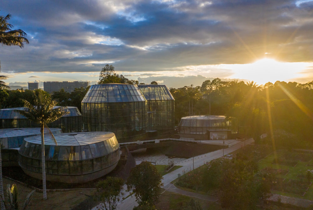 Tropicario-Bogota-1000x670 - 3 planes para San Valentín en Bogotá