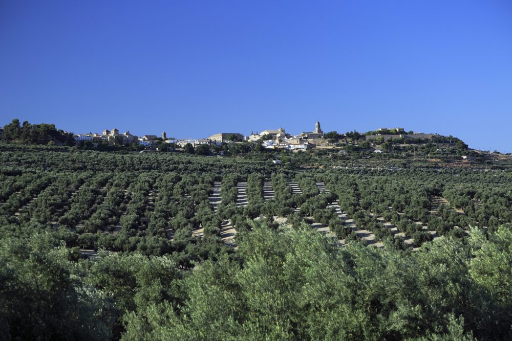 Ubeda-Falk2-en-Wikimedia-Commons-1000x667 - 3 pueblitos hermosos de Andalucía ideales para una escapada de ecoturismo