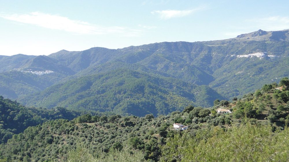 ValleDelGenal-Wikimediacommons-RafaelTello-1000x563 - El bosque malagueño que parece salido de un cuento y es perfecto para hacer senderismo