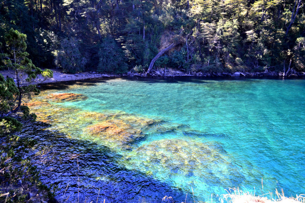 La preciosa playa escondida de aguas celestes y paisajes de ensueño a pocos kilómetros de San Martín de los Andes