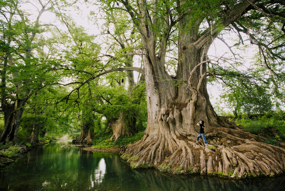 El sereno Pueblo Mágico perfecto para el ecoturismo que está a 3 horas de Querétaro
